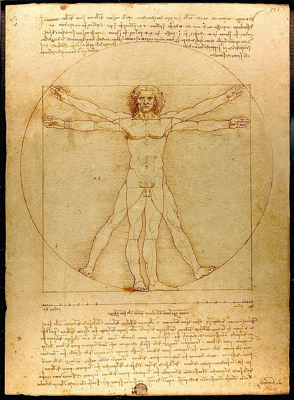 Vitruvian Man, Science & Mathematics